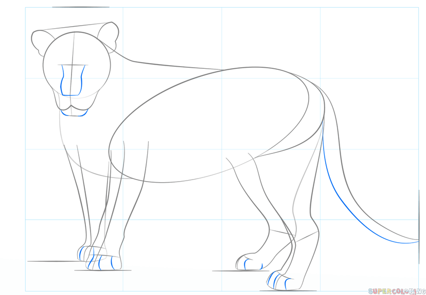828x575 How To Draw A Lion Step By Step Drawing Tutorials