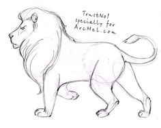236x188 How To Draw A Lion Step By Step 4 Draw Lions