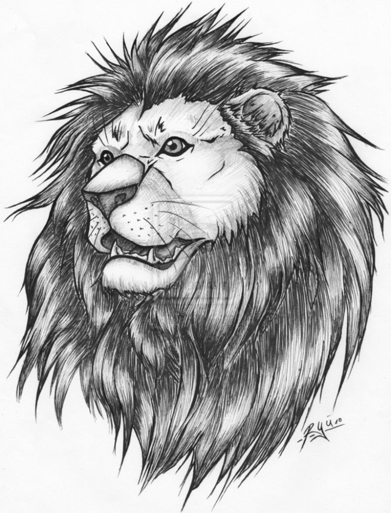 782x1024 Lion Tattoo Design Ideas For Men Tattoo Inspirations