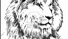 228x131 How To Draw Tattoo Designs Wallpaper Tattoos