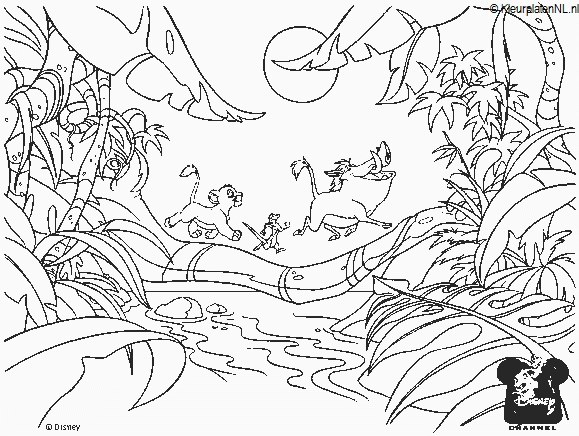 579x436 Lion King Coloring Page Wallpaper 2884