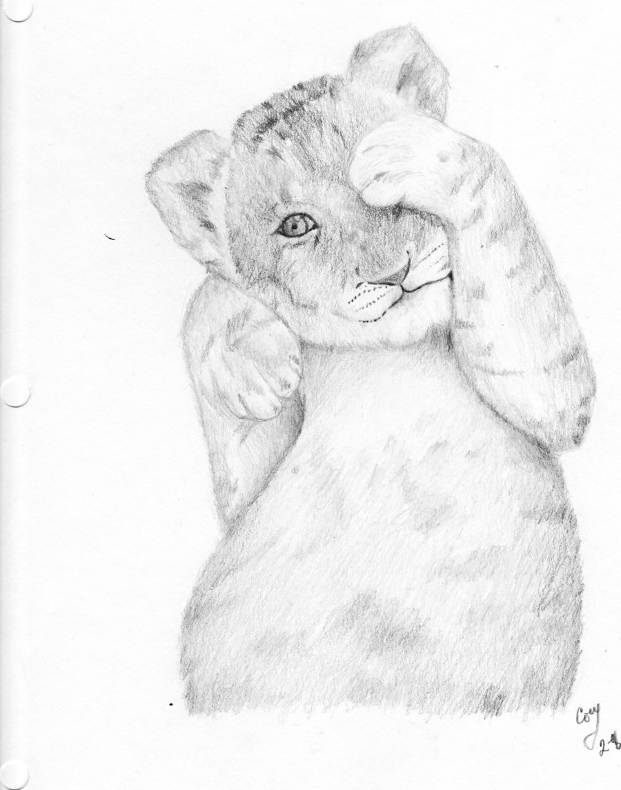 900x1145 Lion Cub By Cmitan