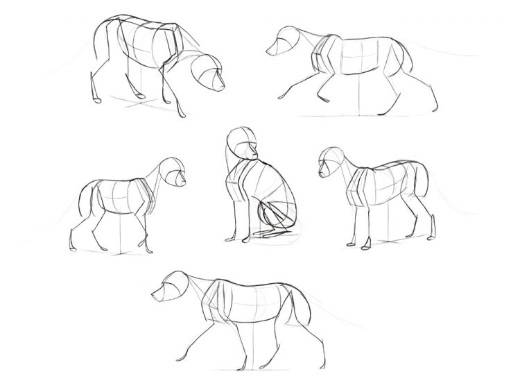 750x562 Drawing How To Draw A Wolf With How To Draw Eyes As Well As How