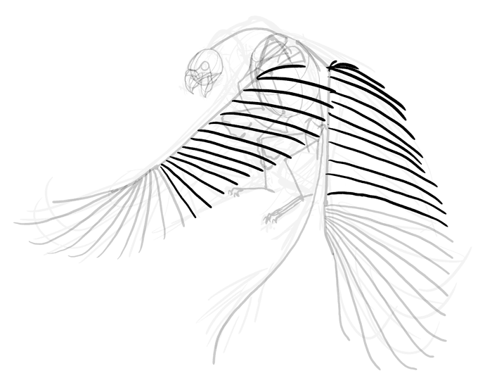 700x557 How To Draw A Griffin