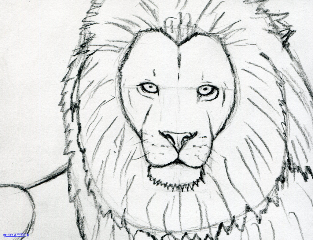 Lion Face Drawing at GetDrawings | Free download