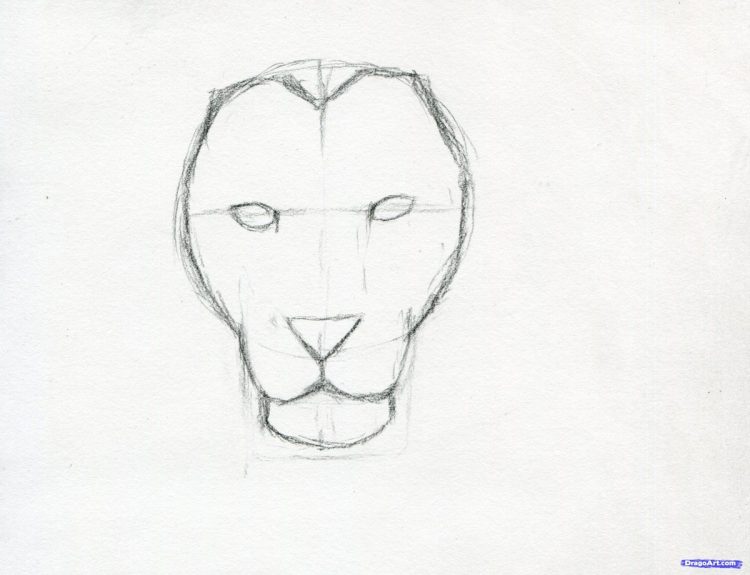 750x575 Coloring How To Draw A Lion Face Roaring Step By Step