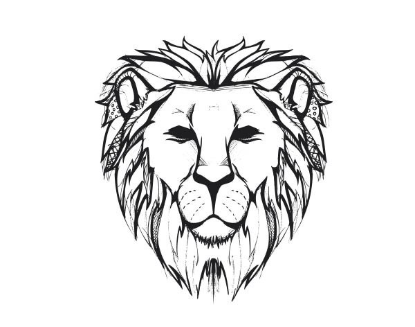 600x472 Lion Face Images For Drawing Wallpapergenk
