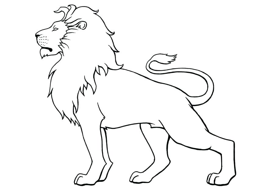 875x620 Lion King Coloring Pages Kovu Page How To Draw A Best Coloring