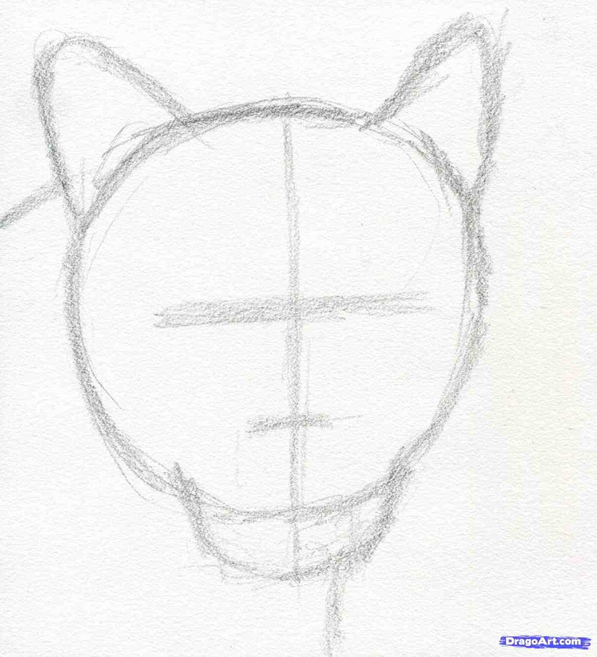 1206x1326 How To Draw A Realistic Lion Face Step By Step