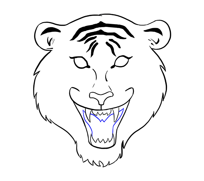 678x600 Best 25 Tiger Face Drawing Ideas On Lion Face Drawing