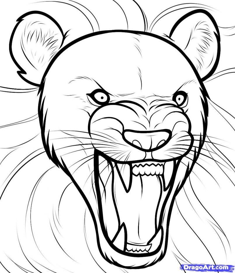 805x933 Coloring How To Draw A Lion Face Step By Step In Pencil Plus How