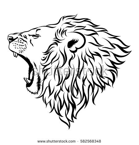 450x470 Drawn Lion Illustration
