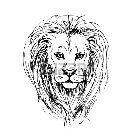 Lion Face Pencil Drawing at GetDrawings | Free download