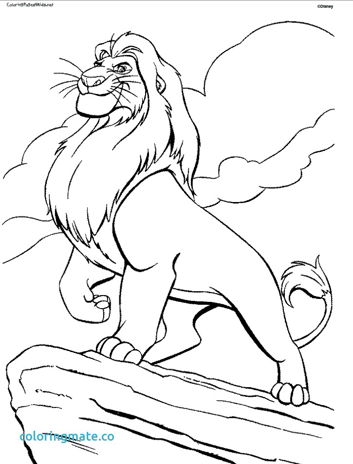 725x953 Lion Coloring Page Unique Lion Family Coloring Pages Free Coloring