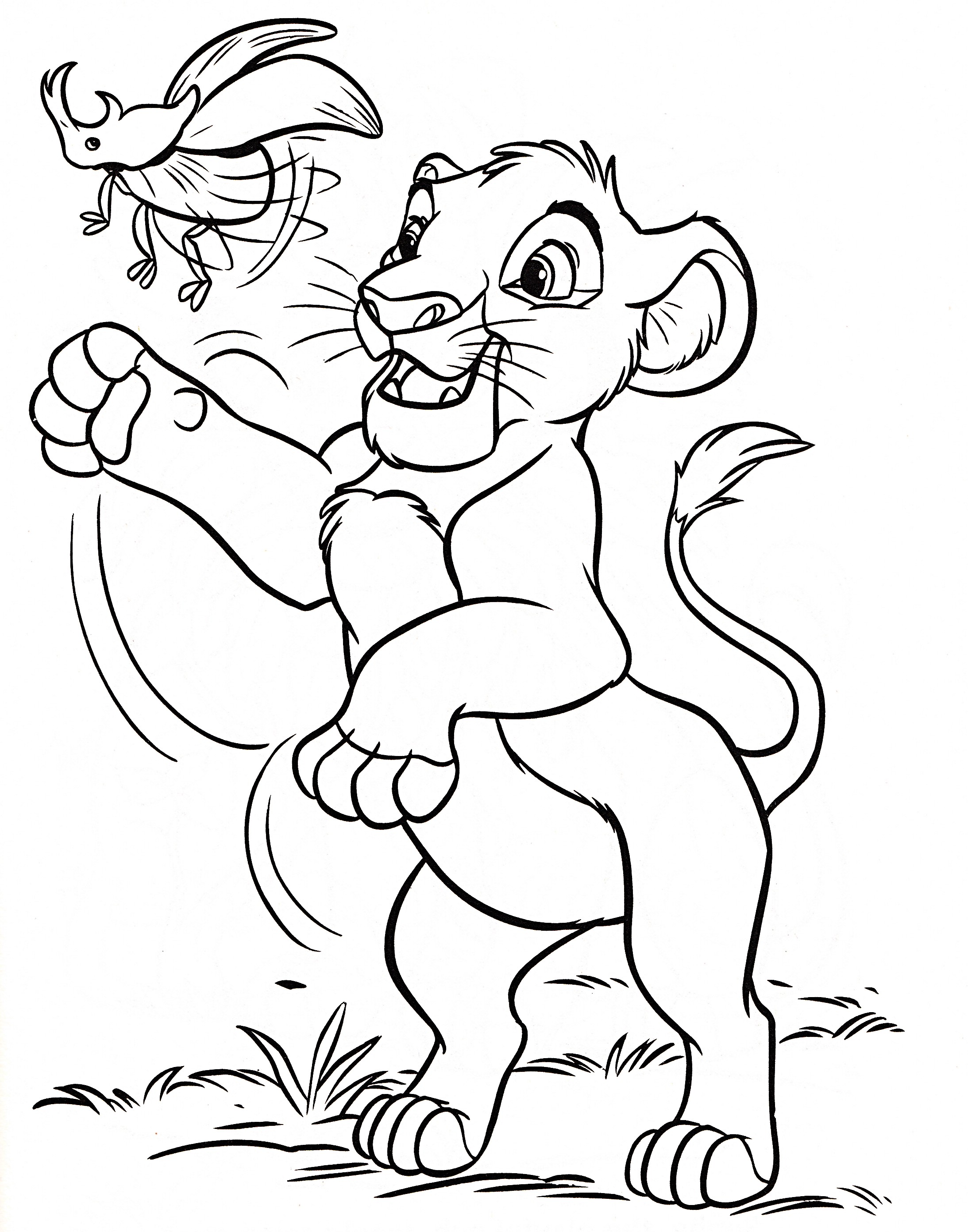 2187x2785 Coloring Pages Draw A Lion For Kids Free Draw To Color