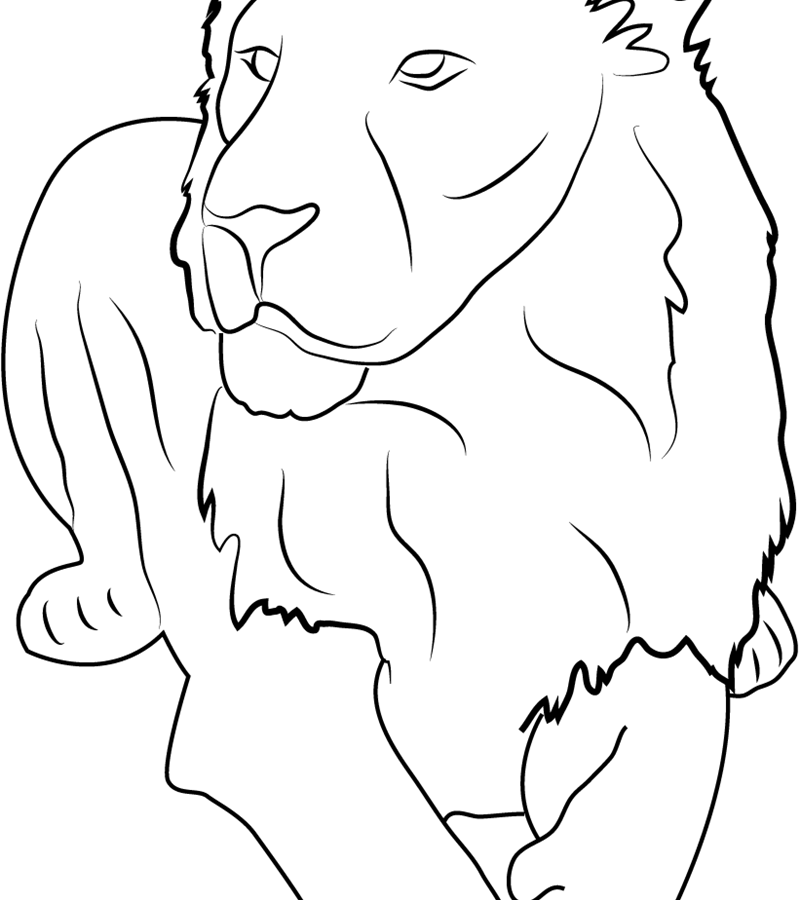 800x900 Asian Lion Coloring Page Printable Free Preschool In Good Draw