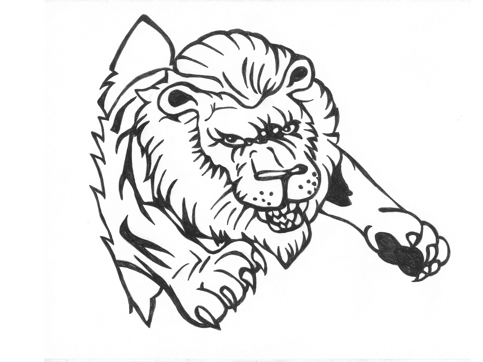 2048x1536 Gallery Free Lion Drawings,