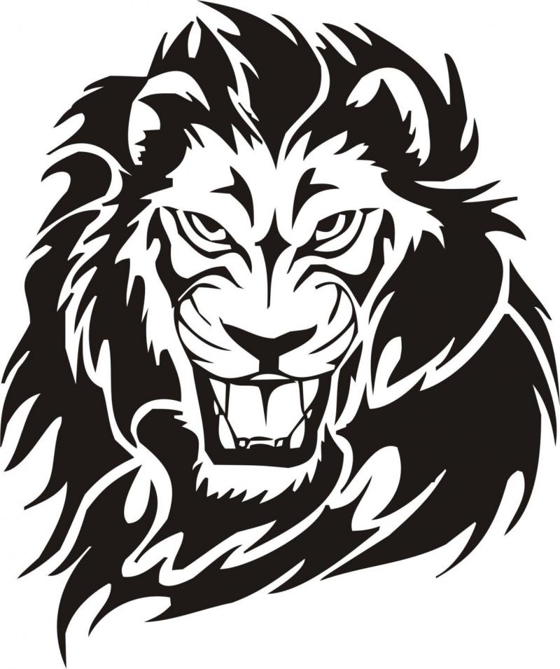 800x955 Lion Face Drawing Clipart