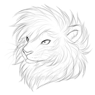 320x320 I Meant To Post This Back In 2016, Around December,but I Never Got