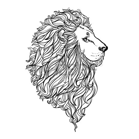 450x450 Illustration Of Doodle Lion And Woman With Curly Hair On White