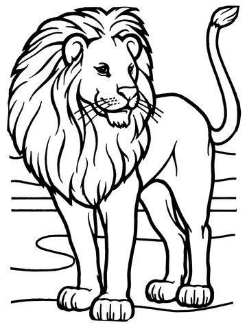 360x480 Male African Lion Coloring Page Free Printable Coloring Pages