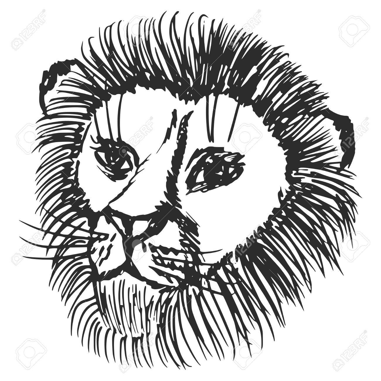 1300x1300 Hand Drawn, Sketch, Cartoon Illustration Of Lion Royalty Free