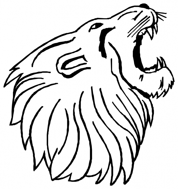 754x800 Lion Face Drawing Clipart