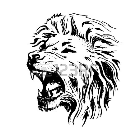 450x450 134 Lion Mouth Open Stock Illustrations, Cliparts And Royalty Free