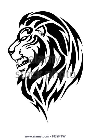 357x540 Lion Roaring Cut Out Stock Images Amp Pictures