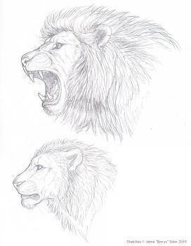 272x350 Lion Sketches By Emryswolf Male Poses Lion Sketch