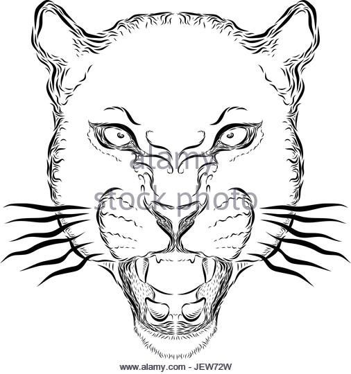 506x540 Roar Stock Vector Images