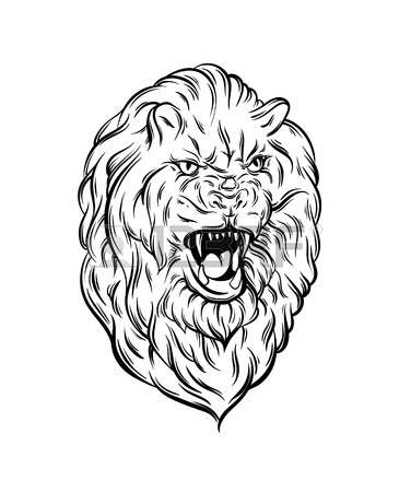 376x450 Vector Illustration Of Realistic Lion Made In Hand Sketched Style