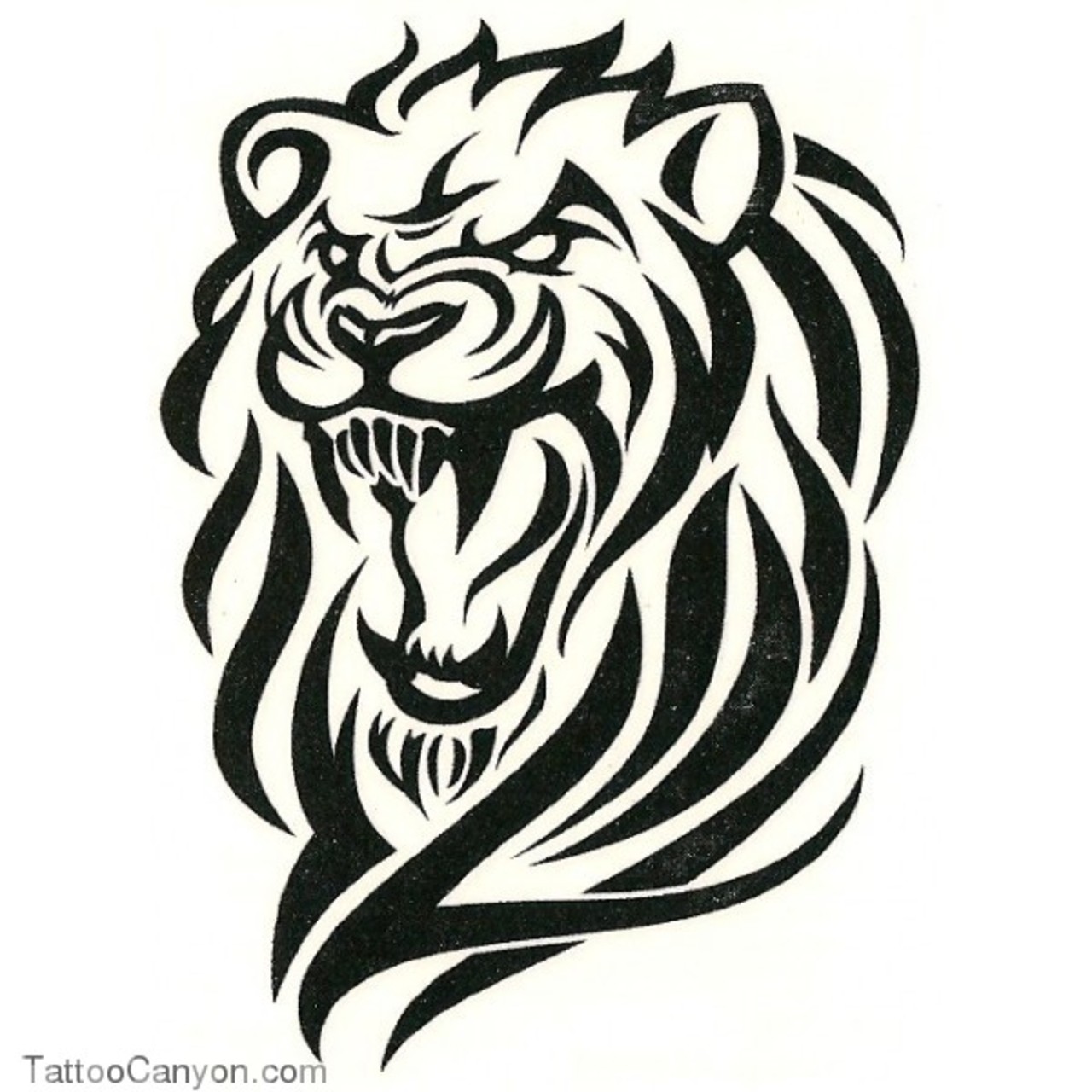 1280x1280 Collection Of Tribal Angry Lion Tattoo On Biceps