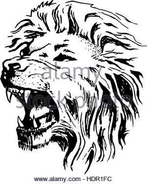300x376 Sketch Of Lion Head With Mane. Lion Tattoo King. Vector