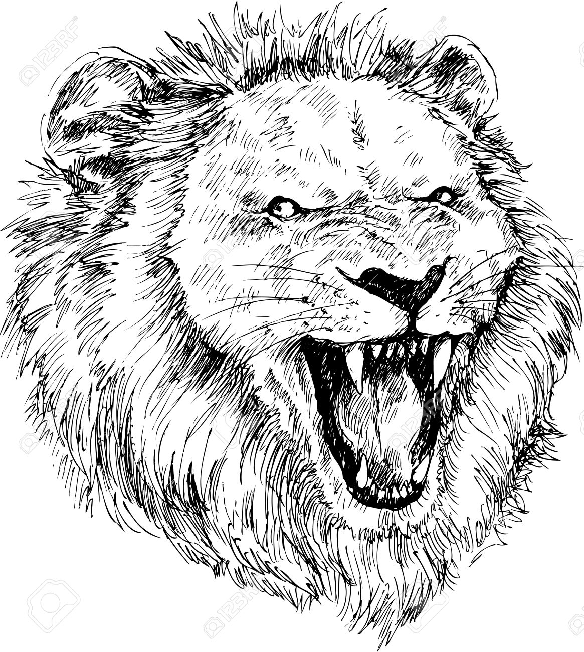 1165x1300 Hand Drawn Lion Head Royalty Free Cliparts, Vectors, And Stock