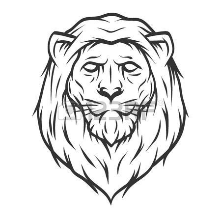 Lion Head Line Drawing at GetDrawings | Free download