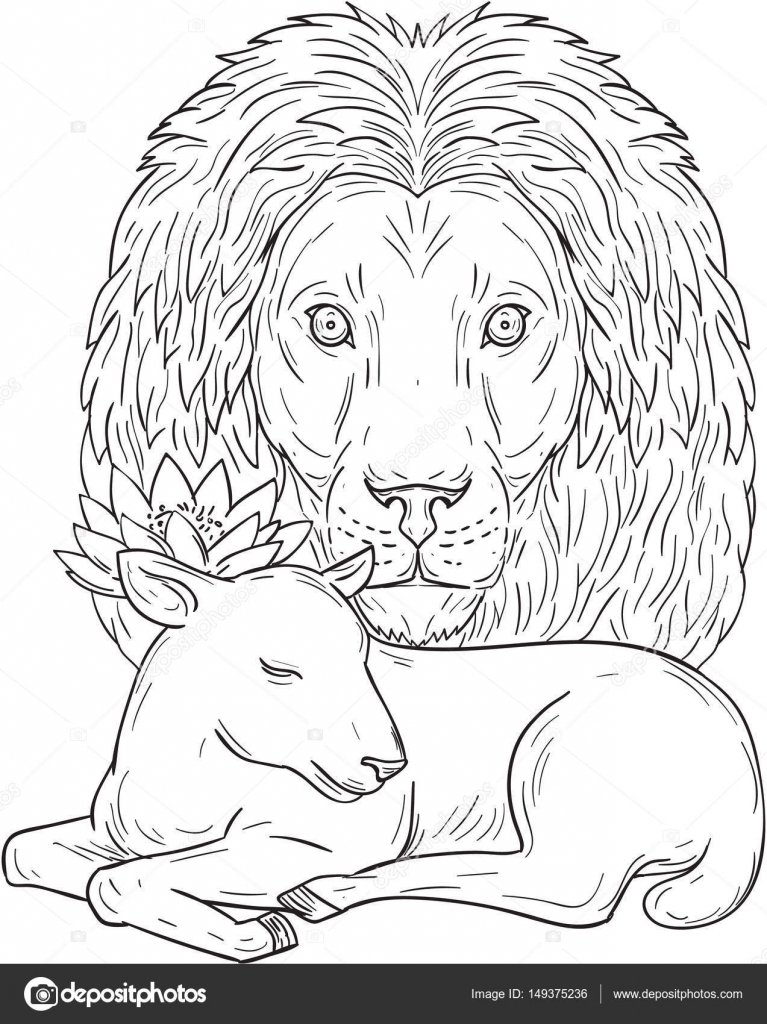 767x1024 Lion Watching Over Sleeping Lamb Drawing Stock Vector