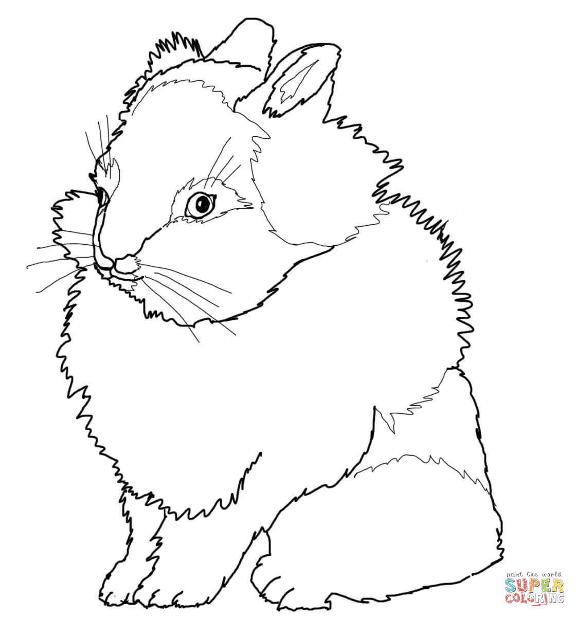 1120x1200 Lion Headed Rabbit