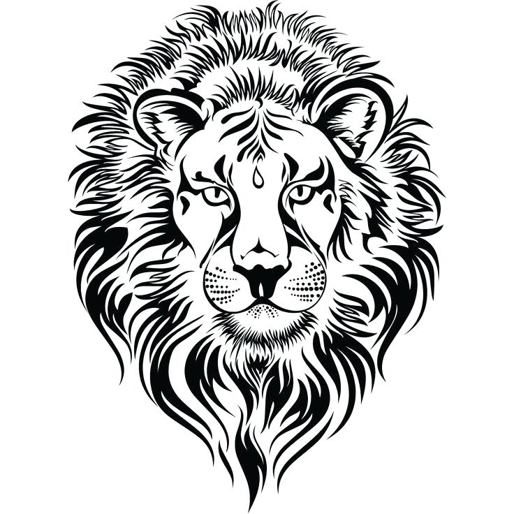 736x736 Lion Face Coloring Page Lion Head Tattoo Clip Lion Coloring Page