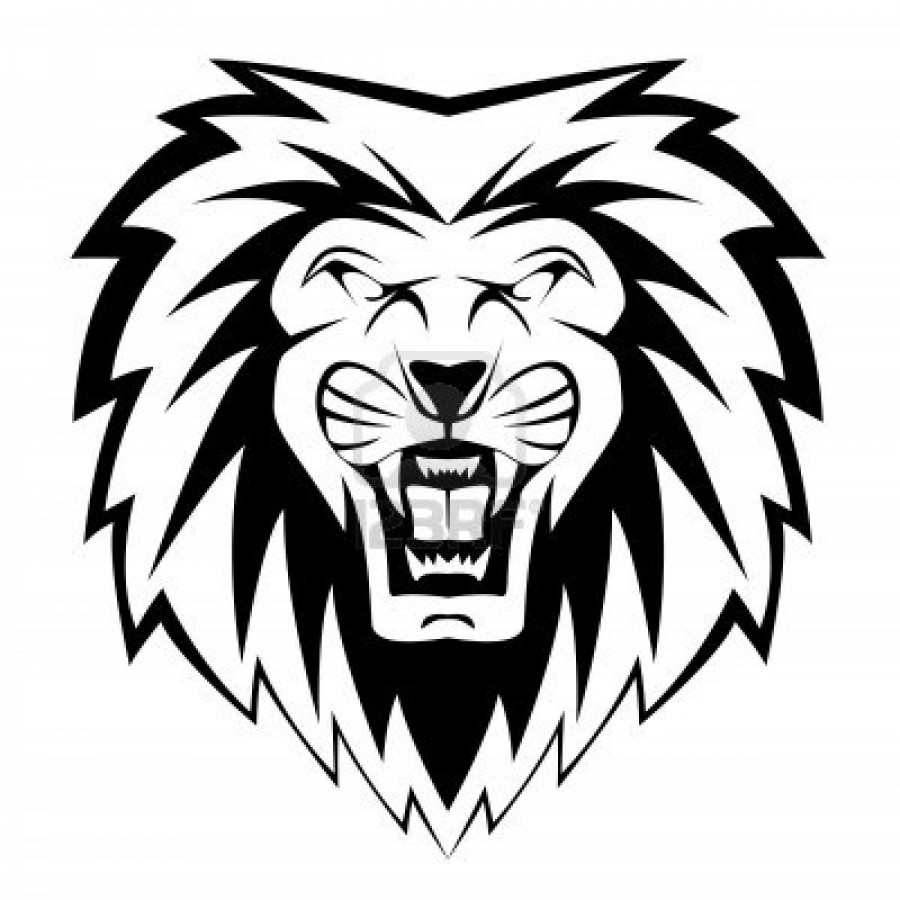 900x900 Lion Face Vectors Illustration
