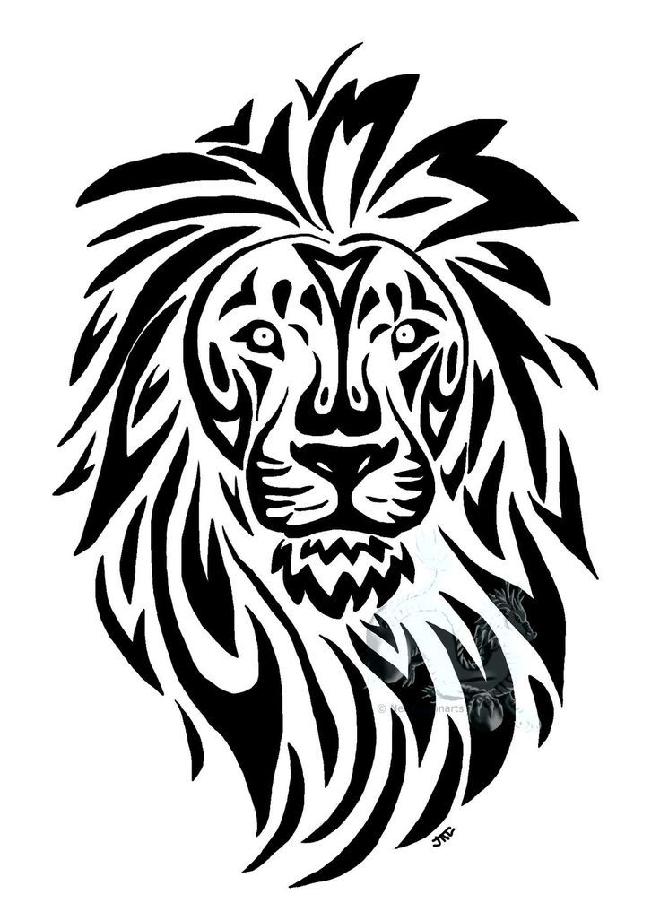 736x1007 Lion Line Drawing Tattoo For The Home