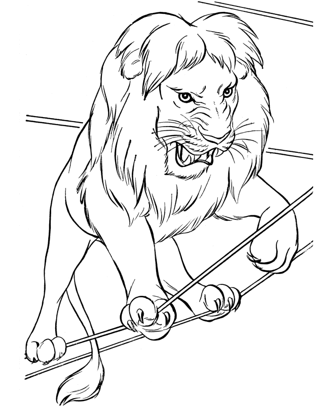 670x820 Free Printable Lion Coloring Pages For Kids