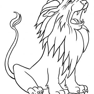 300x300 Lion Lineart Lionlineart Adult