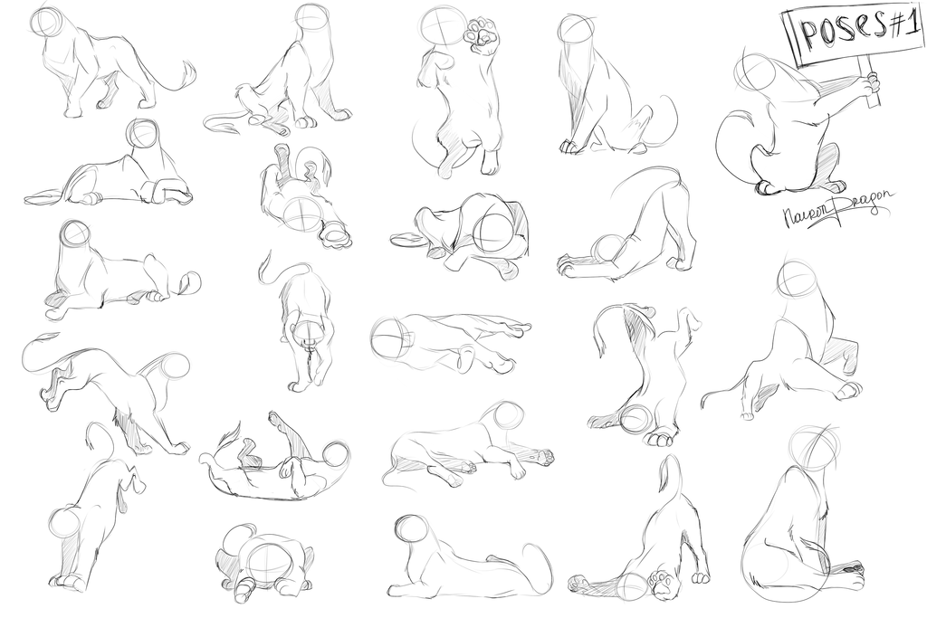 1024x683 Poses List By Nairondragon On Drawing