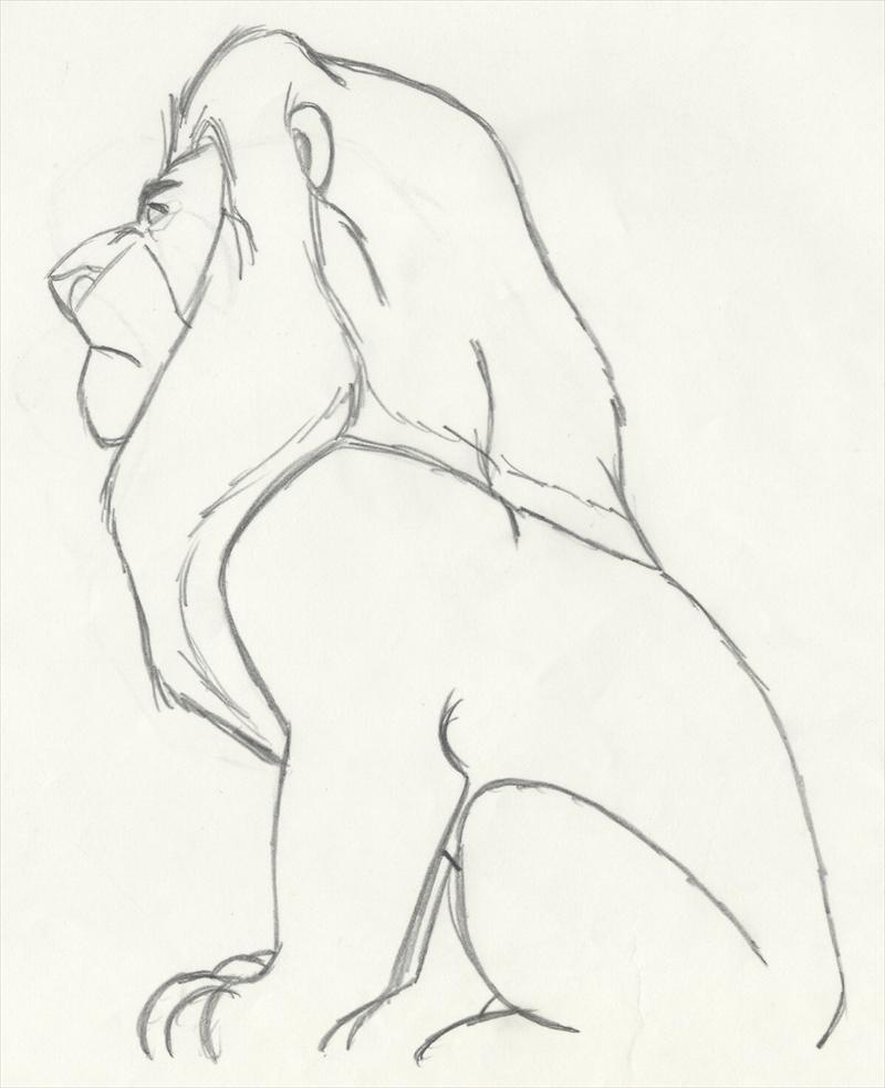 800x983 Disney The Lion King Animation Drawing