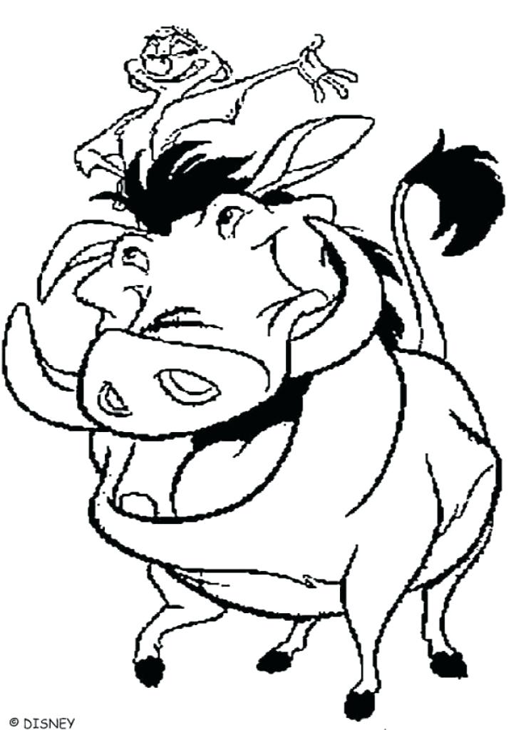 731x1024 The Lion King Coloring Book