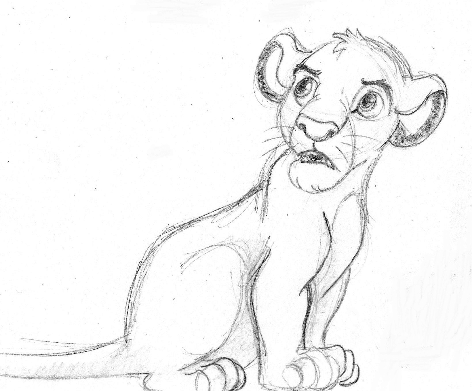 Lion King Pencil Drawing at GetDrawings Free download