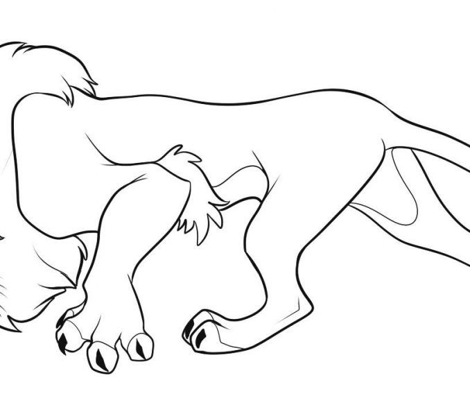 678x600 Drawn Lion Lion King Character