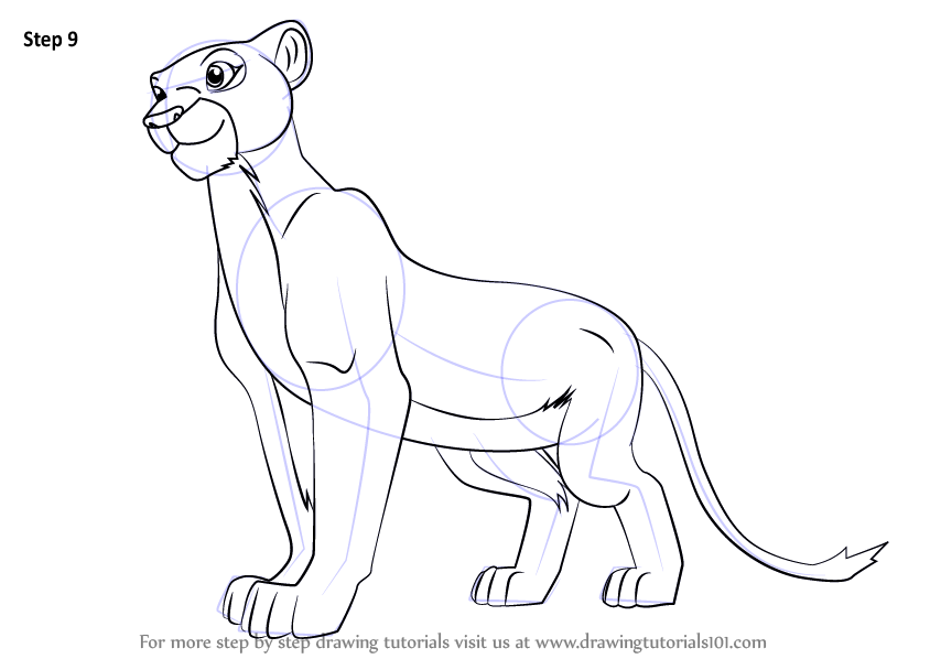 844x598 Learn How To Draw Nala From The Lion King (The Lion King) Step By
