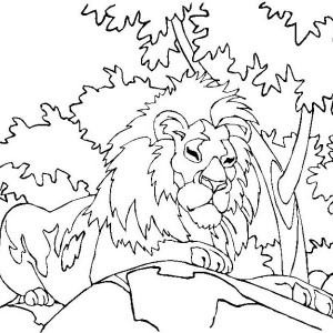 300x300 Awesome Lion Drawing Coloring Page Color Luna
